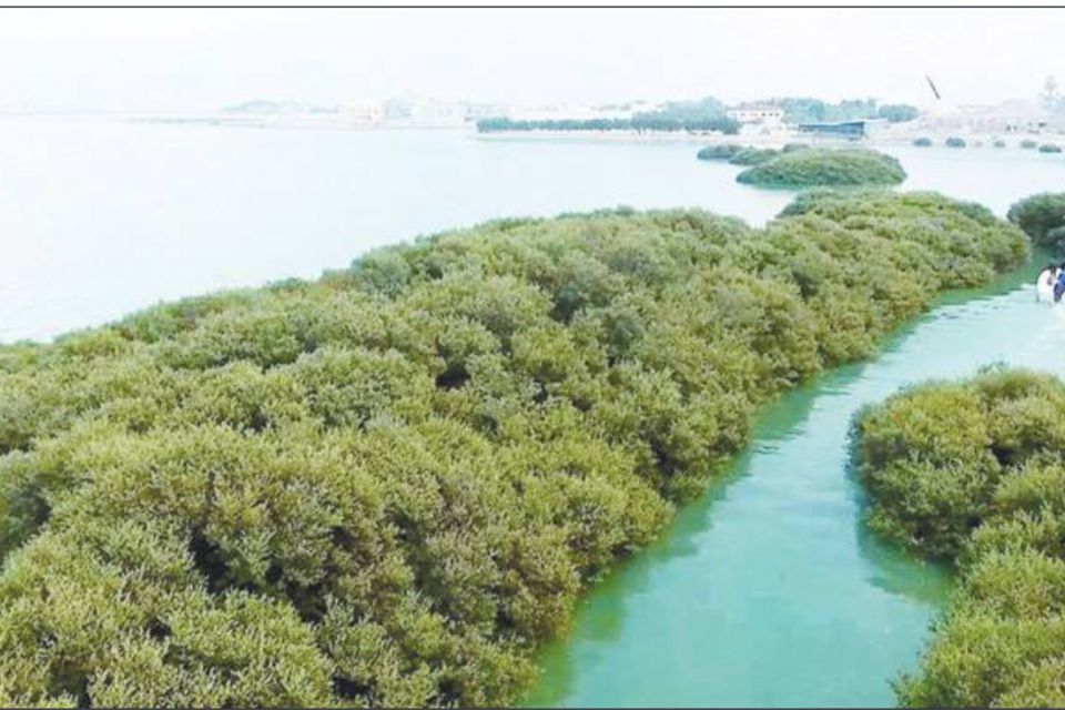 Millions of Trees, A Greener Bahrain