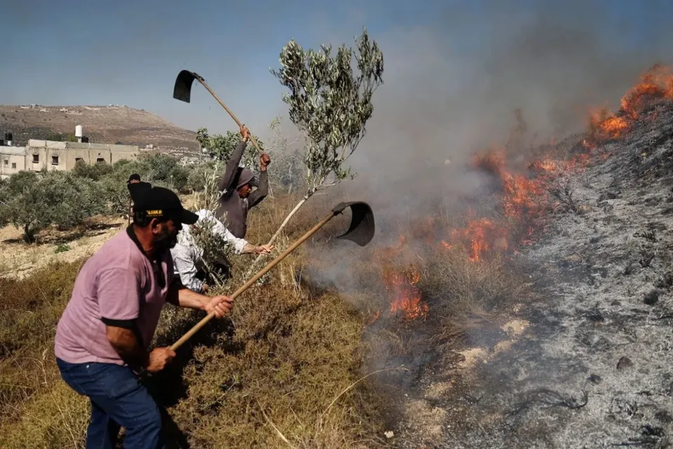 فلسطينيون: مستوطنون إسرائيليون أحرقوا أشجار زيتون معمرة في الضفة الغربية