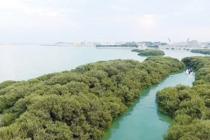 Millions of Trees, A Greener Bahrain