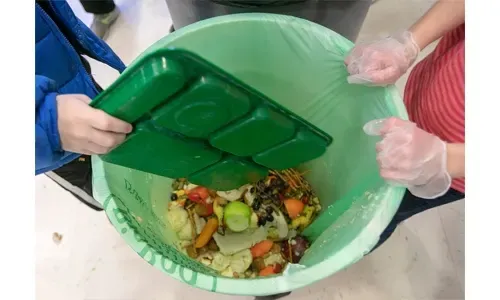 17% of food production globally wasted: UN