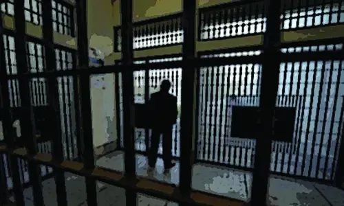 Molestation of cow: Court upholds prison sentence