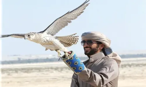 بطولة الصقور تجذب المئات