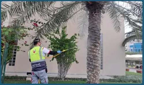 حملة وطنية تكثف جهودها للحد من انتشار البعوض
