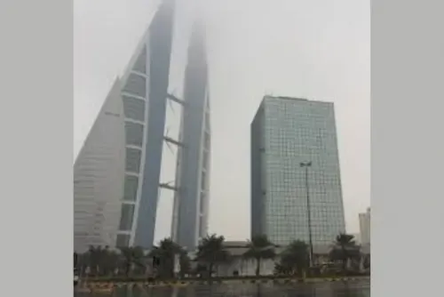 Brace for cold wave and strong winds in new year
