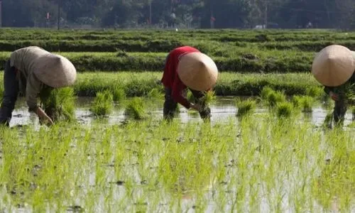 China plans cloud seeding to protect grain crop amid drought