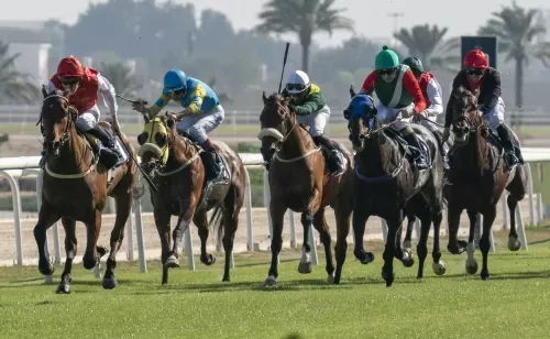 ثمانية سباقات اليوم في نادي راشد للفروسية وسباق الخيل