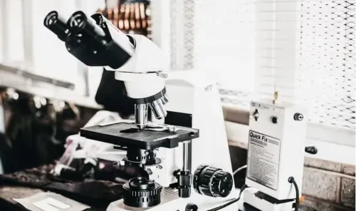 Humanin Peptide and the Landscape of Mitochondrial Signaling Research
