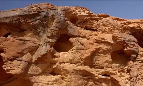 Ancient artists carved camels in Saudi desert’s stone