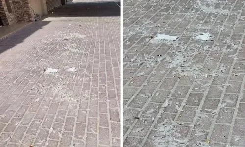 ريش في كل مكان.. لا مساحة للعيش في دمستان