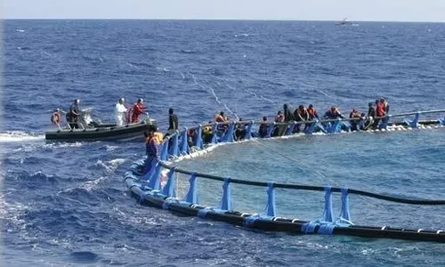 البحرية المالطية تنقذ 75 مهاجراً كانوا يتشبثون بقفص لأسماك التونة