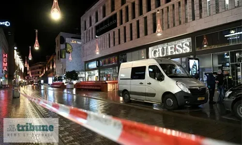 No evidence suspect in Hague stabbing had terrorist motive