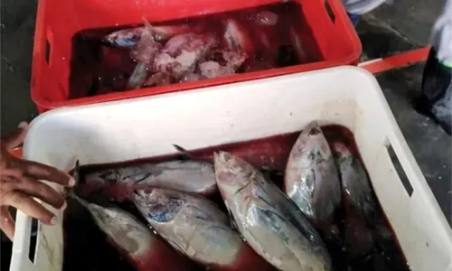 150kg spoiled fish seized at Manama Central Market
