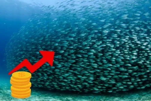 مجلس النواب يناقش تراجع المخزون السمكي وارتفاع الأسعار