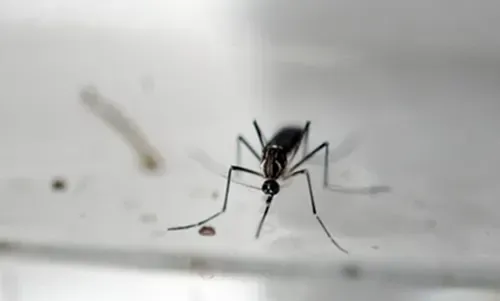 Texas reports case of sexually transmitted Zika virus
