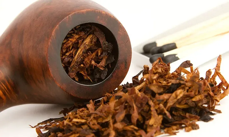 Revenue from tobacco has increased up to 74 %, Finance Ministry
