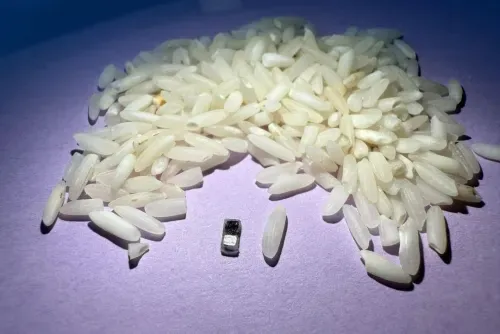 World’s tiniest pacemaker is smaller than grain of rice