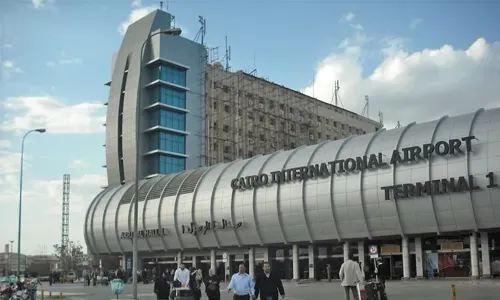 إحباط محاولة لتهريب صقور