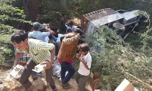 Truck carrying liquor turns turtle in Gujarat village, locals flee with bottles
