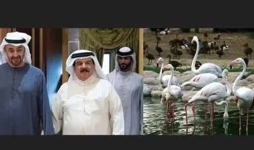 Al Areen Reserve renamed after Sheikh Mohammed bin Zayed