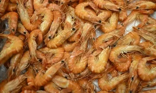 شرطة البحرين تحبط محاولة تهريب ماريجوانا مخبأة في جمبري وأعشاب