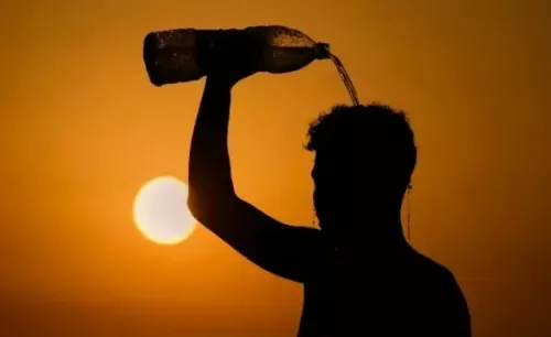 2025 was third hottest year on record: climate monitors