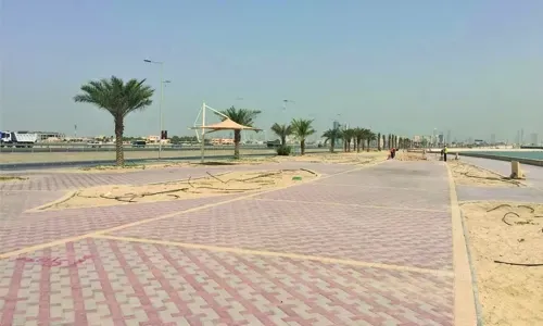 Gulf Int’l Bank to organise tree planting initiative