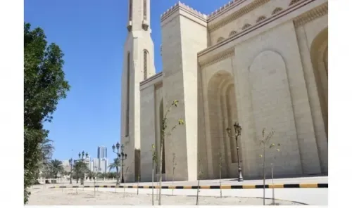 جامع الفاتح يستقبل 200 شجرة جديدة ضمن مبادرة خضراء كبرى