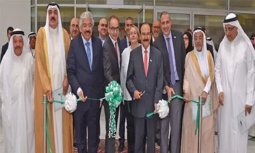 Government to generate 5pc of energy from renewable sources