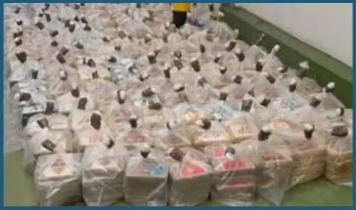 المملكة المتحدة تصادر كوكايين بقيمة 500 مليون دولار مخبأة في شحنات موز ونبيذ