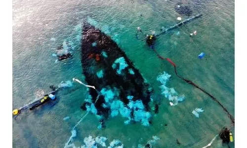 Holy Land shipwreck reveals tenacity of ancient traders as empires shifted