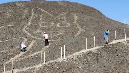 اكتشاف نقش أرضي غامض لقط يبلغ طوله 37 متراً في بيرو