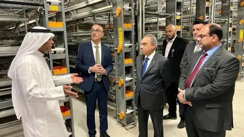 الاستراتيجية الوطنية للاكتفاء الذاتي والأمن الغذائي تسير على الطريق الصحيح