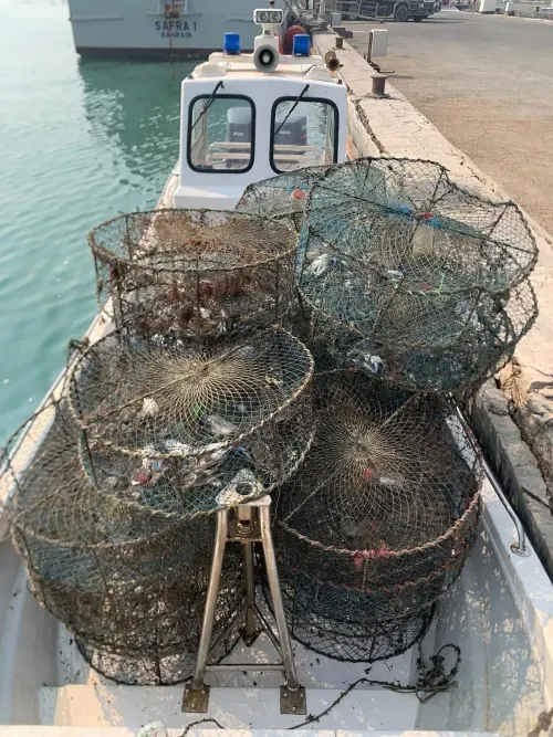 Coast Guard Seizes Over 2,400 Illegal Fishing Traps and Nets in Bahrain
