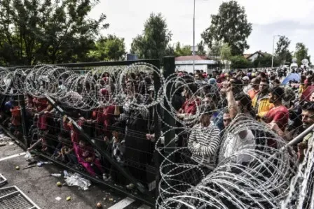 ألمانيا: العديد من المهاجرين يدعون كذباً أنهم سوريون