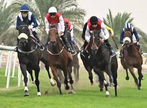 نادي راشد للفروسية وسباق الخيل يستعد ليومين متتاليين من السباقات