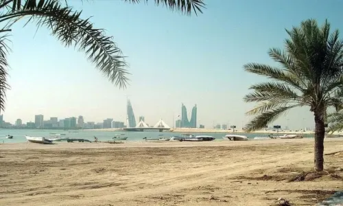 الذكاء الاصطناعي يمكنه تعزيز حماية البيئة في البحرين