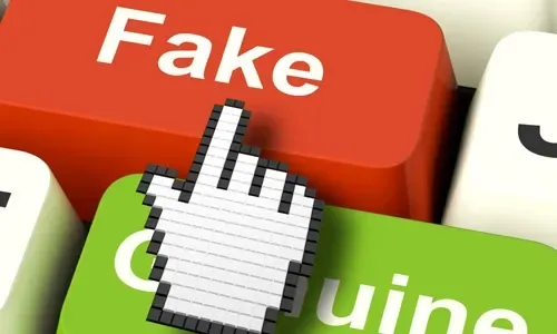 Man jailed for spreading fake news