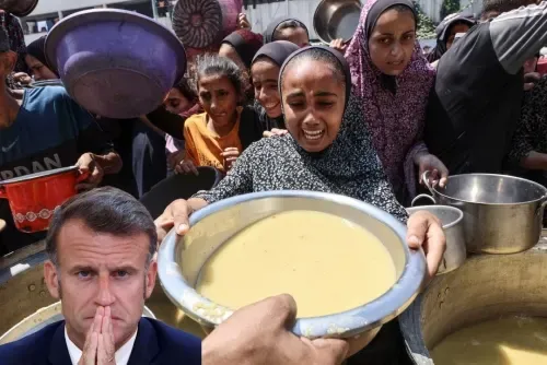 French delight for Palestine