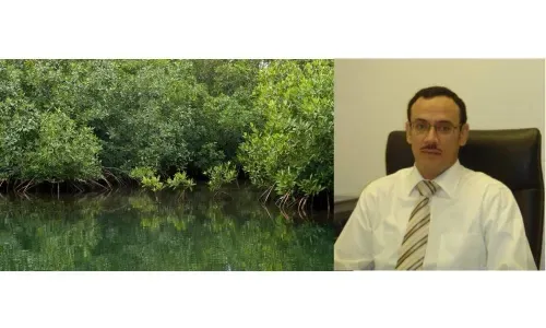«ستة عشر نوعاً من الموائل البحرية الفريدة في البحرين»