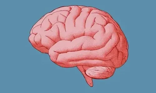 دراسة: أدمغة النساء تبدو أصغر سناً من أدمغة الرجال بسنوات