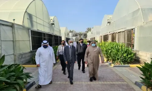 الحواج: إنتاج 135 صنفاً نباتياً في حاضنة هورة عالي
