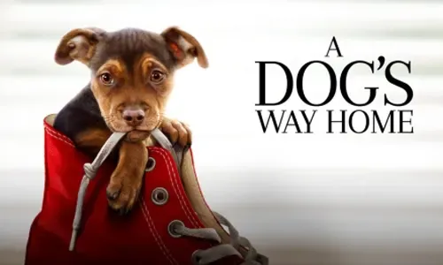 فيلم 'A Dog’s Way Home' هو فيلم عائلي لطيف وبسيط