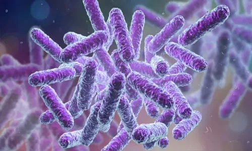Shigella outbreak in Kerala under control, says health minister