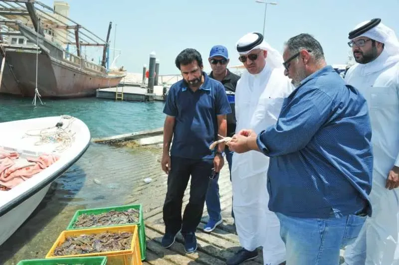 إنشاء سوق للأسماك في عسكر