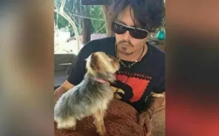 Johnny Depp's dogs survive quarantine wrangle to head home