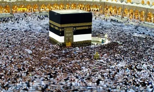 غالبية حجاج بيت الله الحرام يصلون إلى أرض الوطن
