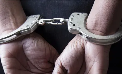 Thailand arrests two after finding tiger body parts