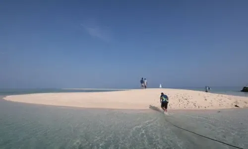 Bahrain Needs Fortified Eco Tourism Norms