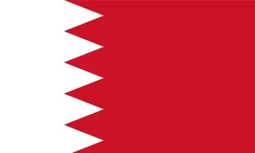 الإشادة بجهود مملكة البحرين في حماية حقوق الإنسان