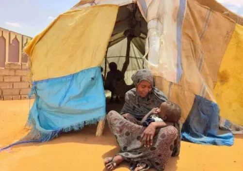 مسؤول الإغاثة في الأمم المتحدة يضغط على قائد قوات الدعم السريع في السودان بشأن الوصول إلى الفاشر
